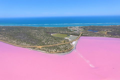 Pink Lake + Abrolhos Islands Nature Tour - Accommodation Port Macquarie 4