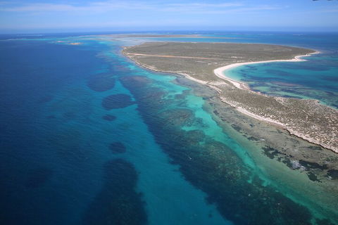 Pink Lake + Abrolhos Islands Scenic Flight - Accommodation Port Macquarie 0
