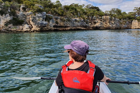 Cliffs And Caves Kayak Tour In Swan River - Accommodation Port Macquarie 0