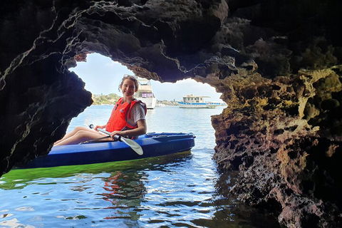 Cliffs And Caves Kayak Tour In Swan River - Accommodation Port Macquarie 1