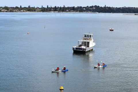 Cliffs And Caves Kayak Tour In Swan River - Accommodation Port Macquarie 2