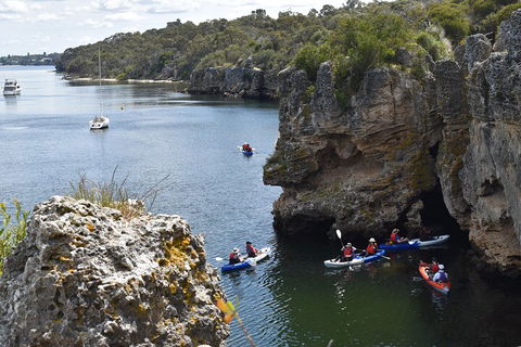 Cliffs And Caves Kayak Tour In Swan River - Accommodation Port Macquarie 5