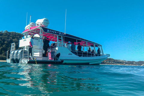 Best Of Moreton Bay Cruise - Accommodation Port Macquarie 0