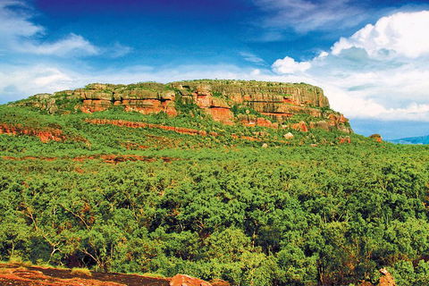 Kakadu, Nourlangie And Yellow Waters Tour From Darwin - Accommodation Port Macquarie 3