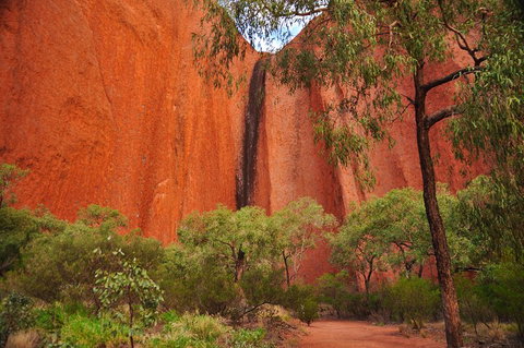 Uluru Sunrise And Guided Base Walk - Accommodation Port Macquarie 3