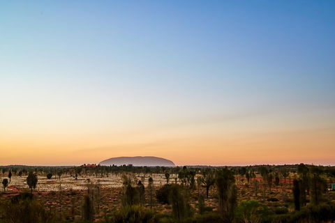 Uluru (Ayers Rock) Field Of Light Sunrise Tour - Accommodation Port Macquarie 0