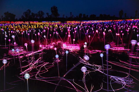 Uluru (Ayers Rock) Field Of Light Sunrise Tour - Accommodation Port Macquarie 1
