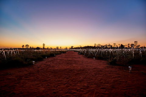 Uluru (Ayers Rock) Field Of Light Sunrise Tour - Accommodation Port Macquarie 3