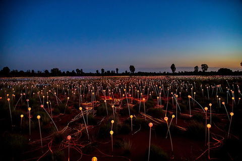 Uluru (Ayers Rock) Field Of Light Sunrise Tour - Accommodation Port Macquarie 4