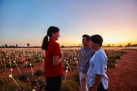 Uluru (Ayers Rock) Field Of Light Sunrise Tour - Accommodation Port Macquarie 5