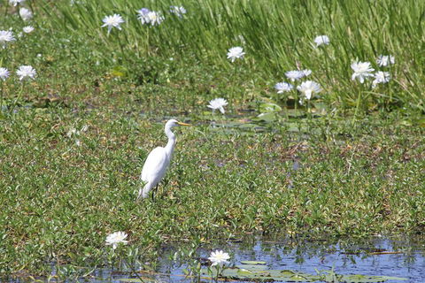 Darwin City Sights And Jumping Crocodile Cruise - Accommodation Port Macquarie 4