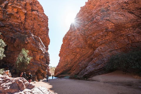 West MacDonnell Ranges- Half Day Trip From Alice Springs - Accommodation Port Macquarie 0