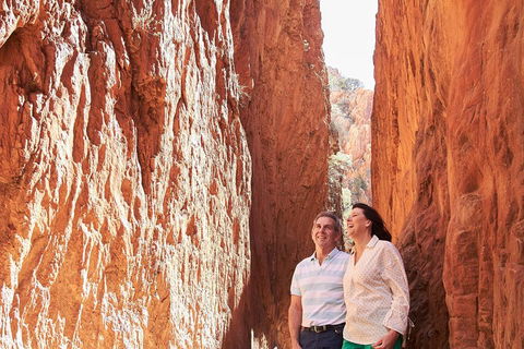 West MacDonnell Ranges- Half Day Trip From Alice Springs - Accommodation Port Macquarie 2