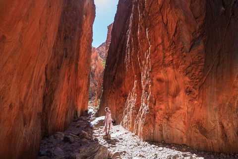 West MacDonnell Ranges- Half Day Trip From Alice Springs - Accommodation Port Macquarie 3