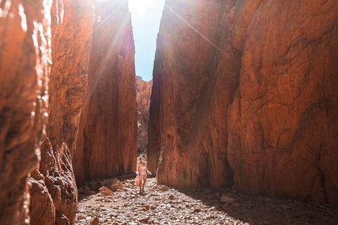 West MacDonnell Ranges- Half Day Trip From Alice Springs - Accommodation Port Macquarie 4