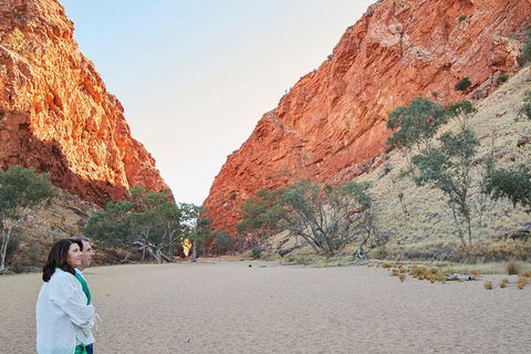 West MacDonnell Ranges- Half Day Trip From Alice Springs - Accommodation Port Macquarie 5