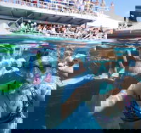 Great Barrier Reef Day Cruise from Cairns Including Snorkeling and Marine Biologist Presentation - Accommodation Port Macquarie