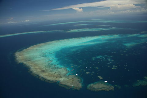 Great Barrier Reef Day Cruise From Cairns Including Snorkeling And Marine Biologist Presentation - Accommodation Port Macquarie 1