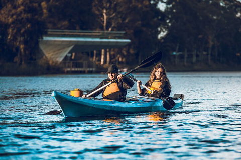 Adelaide City Kayak Tour - Accommodation Port Macquarie 2