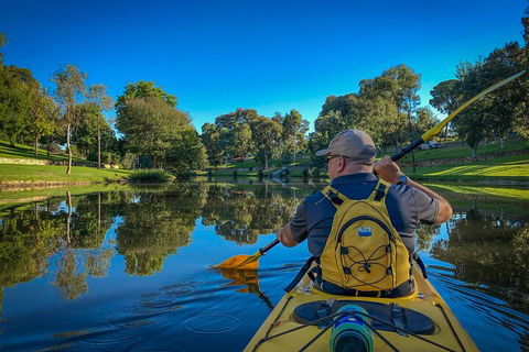 Adelaide City Kayak Tour - Accommodation Port Macquarie 5