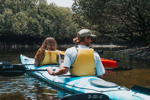 Kayak Tour In Adelaide Dolphin Sanctuary - Accommodation Port Macquarie 2