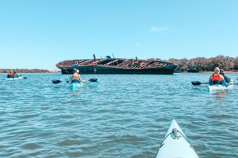 Kayak Tour In Adelaide Dolphin Sanctuary - Accommodation Port Macquarie 3