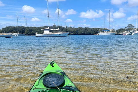 Kayak Tour In Adelaide Dolphin Sanctuary - Accommodation Port Macquarie 4