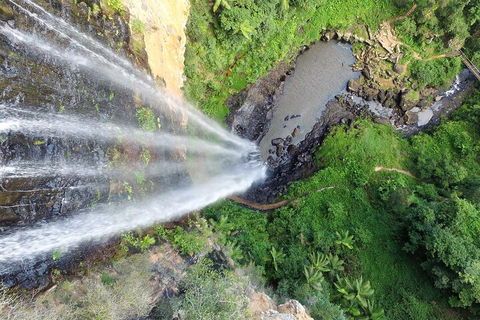 Natural Bridge & Springbrook Waterfalls Tour + Hot Air Balloon With Breakfast - Accommodation Port Macquarie 1