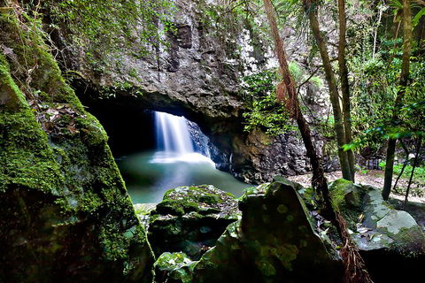 Natural Bridge & Springbrook Waterfalls Tour + Hot Air Balloon With Breakfast - Accommodation Port Macquarie 4