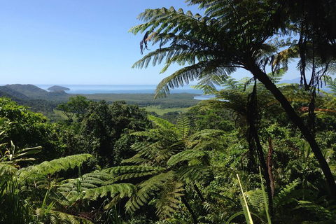 Daintree And Cape Tribulation Full Day Guided Tour - Accommodation Port Macquarie 2
