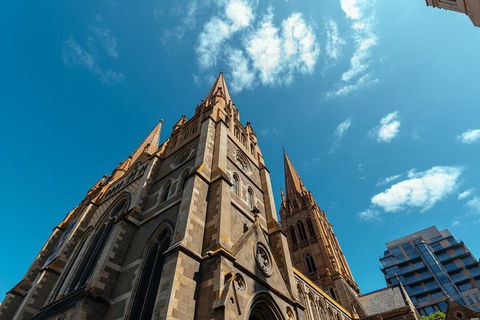 Highlights & Hidden Gems With Locals: Best Of Melbourne Private Tour - Accommodation Port Macquarie 4