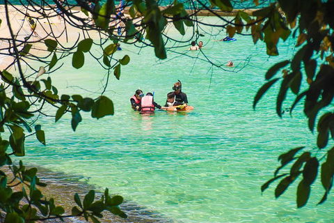 Green Island Day Trip From Cairns - Accommodation Port Macquarie 2