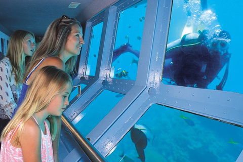 Quicksilver Outer Great Barrier Reef Snorkel Cruise From Port Douglas - Accommodation Port Macquarie 1