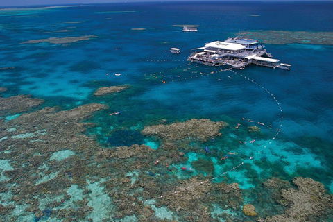 Quicksilver Outer Great Barrier Reef Snorkel Cruise From Port Douglas - Accommodation Port Macquarie 3
