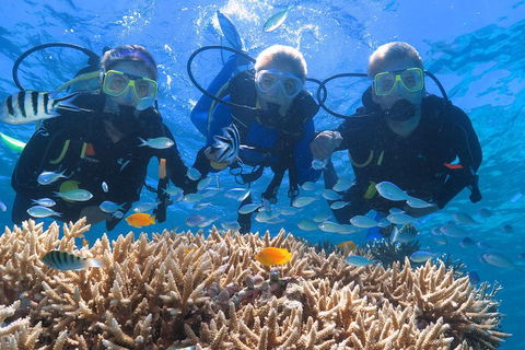 Quicksilver Outer Great Barrier Reef Snorkel Cruise From Port Douglas - Accommodation Port Macquarie 4
