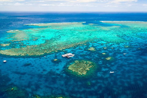 Quicksilver Outer Great Barrier Reef Snorkel Cruise From Port Douglas - Accommodation Port Macquarie 5