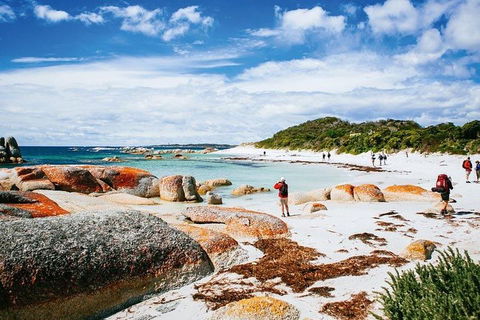 Wineglass Bay Private Charter Service - Accommodation Port Macquarie 3