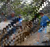 Fully guided E-Mountain Bike Tour on the beautiful Mornington Peninsula. - Accommodation Port Macquarie
