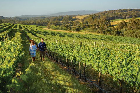 6 Days Perth All-Inclusive Touring Package With Wildflowers ( Seasonal) - Accommodation Port Macquarie 4