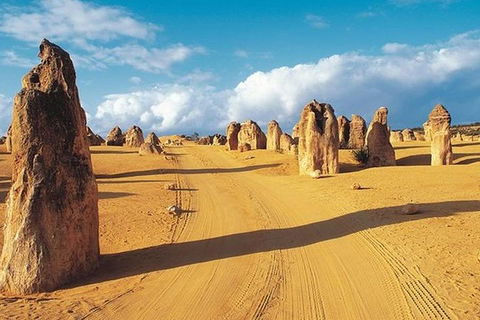 6 Days Perth All-Inclusive Touring Package With Wildflowers ( Seasonal) - Accommodation Port Macquarie 5