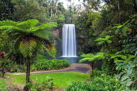 Cairns & Port Douglas All-Inclusive 7 Days Touring Package - Accommodation Port Macquarie 2