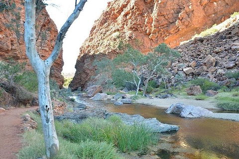 Alice Springs, Uluru Ayers Rock & Kings Canyon 8 Days Touring Package - Accommodation Port Macquarie 2