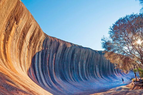 7 Days Perth All-Inclusive Touring Grand Package - Accommodation Port Macquarie 1
