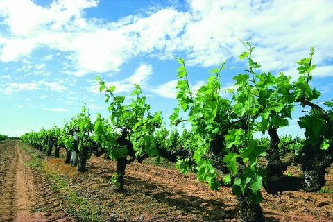 7 Days Perth All-Inclusive Touring Grand Package - Accommodation Port Macquarie 2