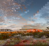 Uluru Kata Tjuta and Kings Canyon Camping Safari from Alice Springs - Accommodation Port Macquarie