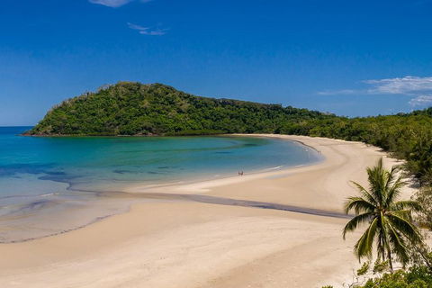 Daintree And Cape Tribulation Tour From Cairns - Accommodation Port Macquarie 1
