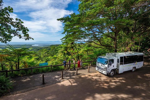 Daintree And Cape Tribulation Tour From Cairns - Accommodation Port Macquarie 3