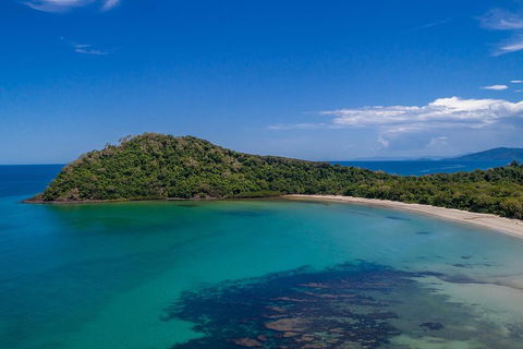 Daintree And Cape Tribulation Tour From Cairns - Accommodation Port Macquarie 4