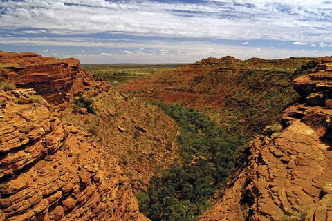 The Amazing Kings Canyon: 4-Hours Walking Tour And Hike - Accommodation Port Macquarie 3