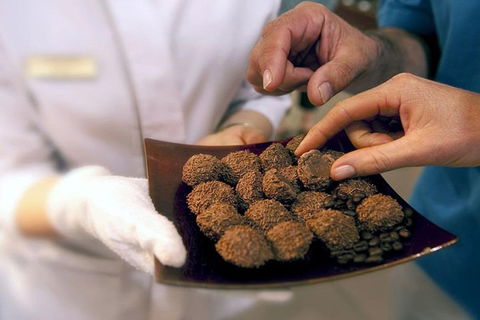 Explore Adelaide City Tour: Haigh's Tasting Chocolate & Adelaide Oval Tour - Accommodation Port Macquarie 2